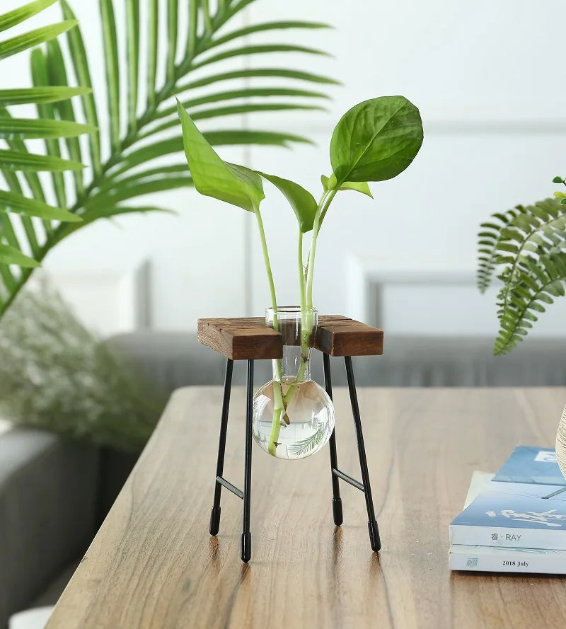 Creative Wooden Frame Hydroponic Plant Container Glass Bulb Vase Home Tabletop Decor Vases Beaker Glass Planter Bonsai