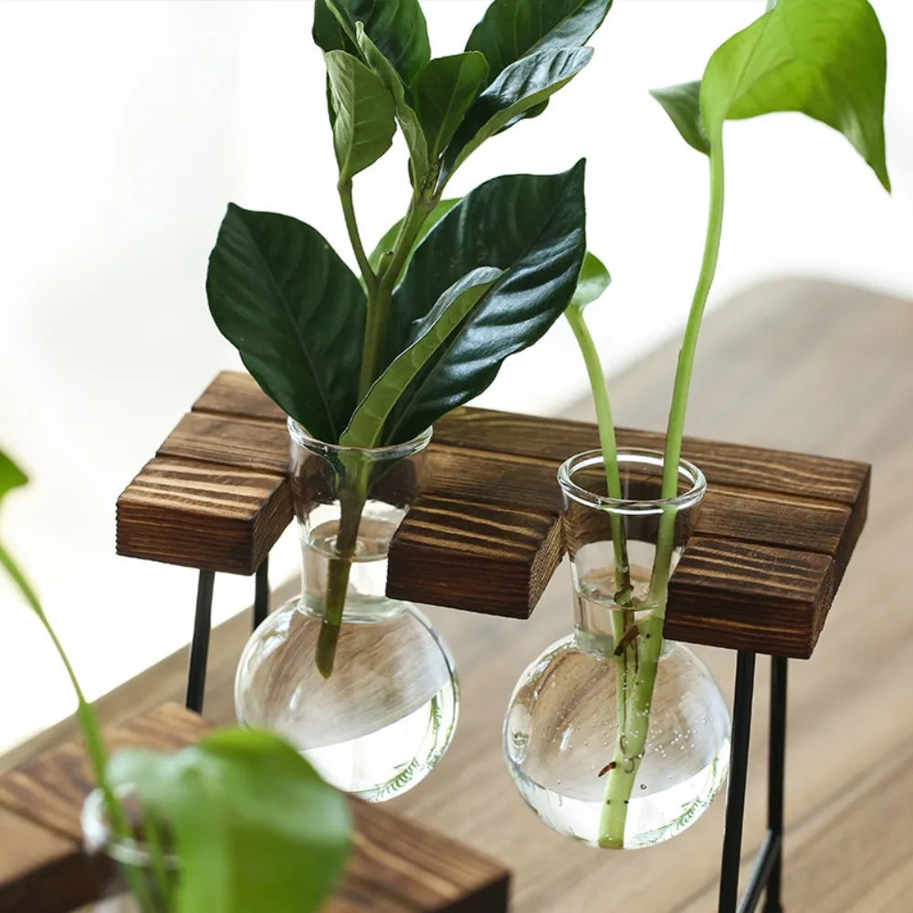 Creative Wooden Frame Hydroponic Plant Container Glass Bulb Vase Home Tabletop Decor Vases Beaker Glass Planter Bonsai